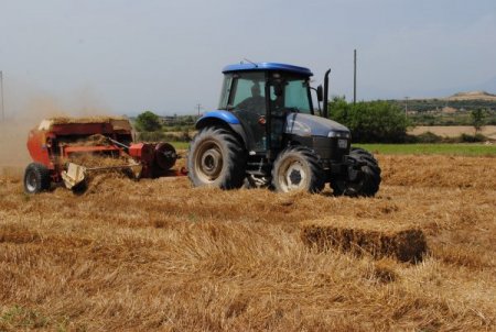Antalya'da Pamuk Çapalama Ve İşçi Yevmiyesi 27 Lira Olarak Belirlendi