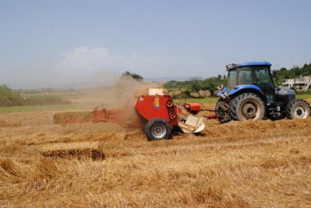 Antalya'da Pamuk Çapalama Ve İşçi Yevmiyesi 27 Lira Olarak Belirlendi