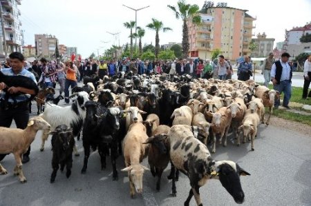 Antalya'da temsili İkinci Yörük Göçü düzenlendi