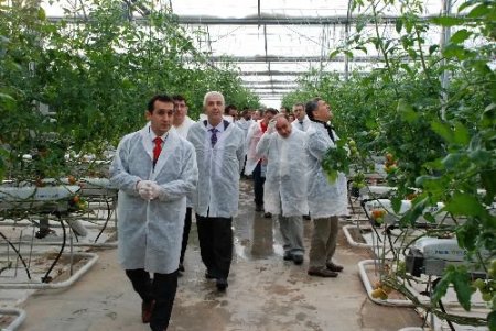 Antalyalı Seracılara Göre Şanlıurfa'da Seracılık Daha Avantajlı