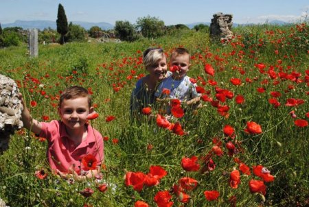 Antalya'nın 4 İlçesinde Botanik Turları Başladı