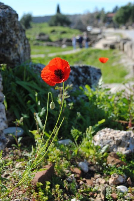 Antalya'ya tatile gelen turistler 2 mevsimi bir arada yaşıyor