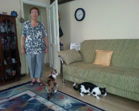 Apartmana 750 metre mesafede kedi ve köpek beslemekten men edildi
