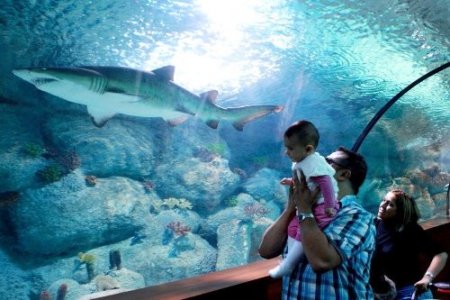 Aqua Vega ziyaretçi akınına uğruyor