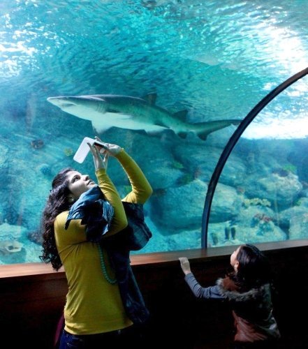 Aqua Vega ziyaretçi akınına uğruyor