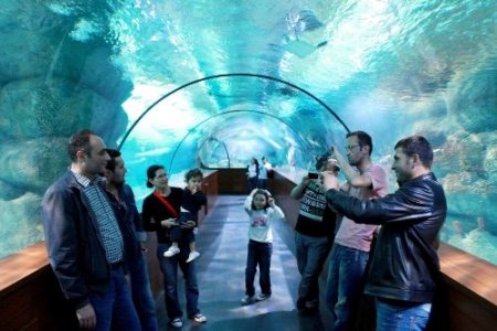 Aqua Vega ziyaretçi akınına uğruyor