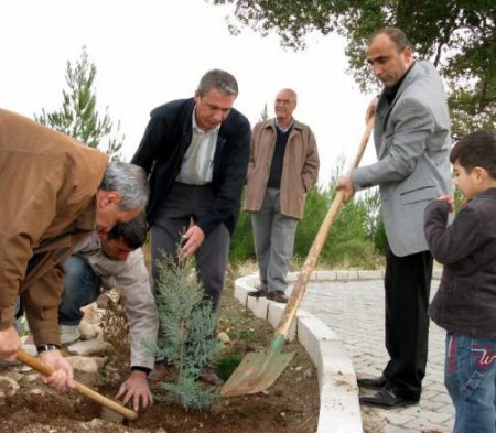 Araban Kaymakamlığı, Ağaçlandırmaya Öncülük Ediyor