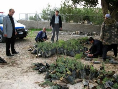 Araban Kaymakamlığı, Ağaçlandırmaya Öncülük Ediyor