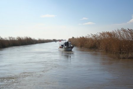 Arabayla nehre düşen aile henüz bulunamadı