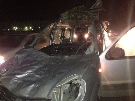 Aracın ön camından girip arka camından çıkan at öldü, şoför yaralı