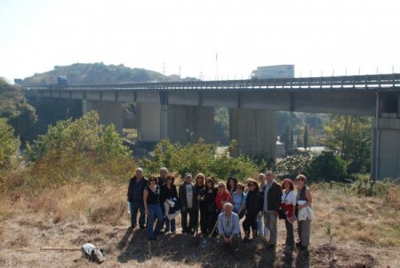 Araçlardaki karbon salınımını telafi etmek için fidan diktiler