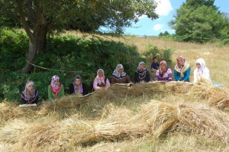 Araçların Gidemediği Bin 500 Rakımlı Tepede, Ekin Biçip Kur'an Hatmi Yapıyorlar