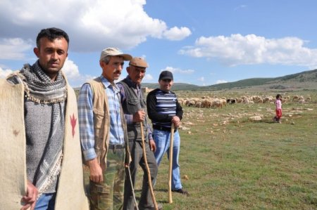 Arazileri Tahsis Edilen 10 Bin Koyun Telef Olma Tehlikesiyle Karşı Karşıya