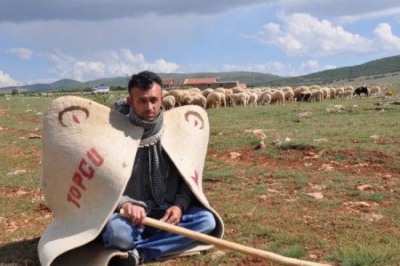 Arazileri Tahsis Edilen 10 Bin Koyun Telef Olma Tehlikesiyle Karşı Karşıya