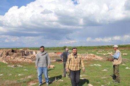 Arazileri Tahsis Edilen 10 Bin Koyun Telef Olma Tehlikesiyle Karşı Karşıya