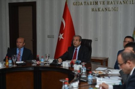 Arazinin mirasla bölünmesini önleyecek kanun teklifi Bakanlar Kurulu'nda