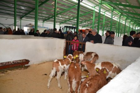 Ardahan, modern damızlık işletmesine kavuştu