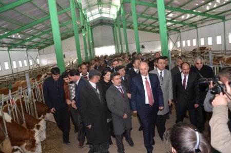 Ardahan, modern damızlık işletmesine kavuştu