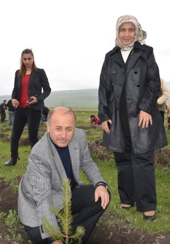 Ardahan'da 75 bin fidan toprakla buluştu