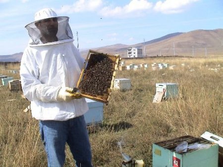 Ardahan'da Son 40 Yılın Bal Üretim Rekoru Kırıldı