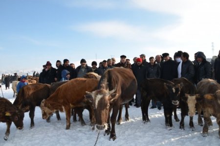 Ardahan'daki dondurucu soğuklardan CHP'li Vekil de nasibini aldı