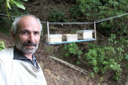 Arı Kovanlarını Ayılardan Korumak İçin Tele Astı