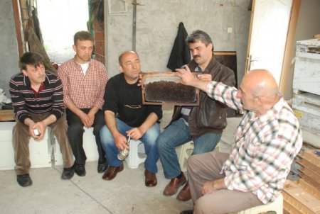 Arıcılara Uygulamalı Eğitim İstasyonu Kuruldu