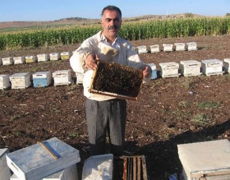 Arıcıların Akdeniz'e Göçü Başladı