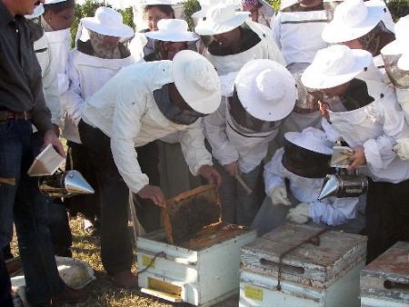 Arıcılık Kursu 25 Kişiye İş İmkanı Sağlayacak