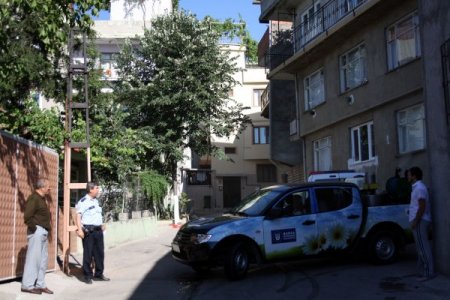 Arılar Şehri Bastı, İnsanlar Evden Dışarı Çıkamadı