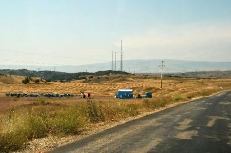 Arılar Sürücülere Saldırdı
