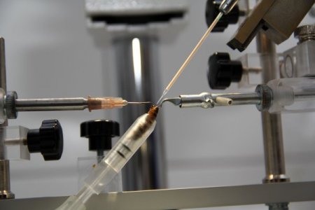 Arılar Yapay Tohumlama Yöntemiyle Direnç Kazandırılıyor