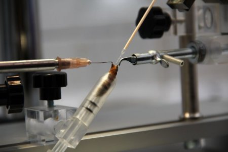 Arılar Yapay Tohumlama Yöntemiyle Direnç Kazandırılıyor