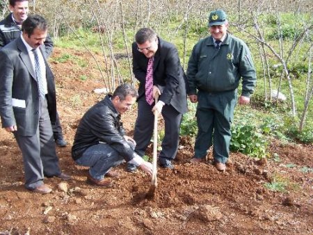 Arıların Daha Çok Bal Yapması İçin Köylere Ihlamur, Akasya Ve Akçaağaç Dikimi Yapılıyor