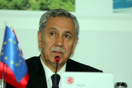Arınç: Anadilde savunma düzenlemesinin açlık greviyle ilgisi yok