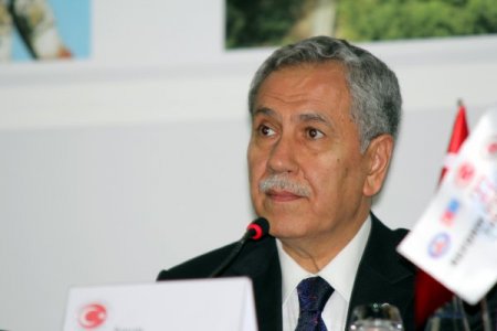 Arınç: Anadilde savunma düzenlemesinin açlık greviyle ilgisi yok
