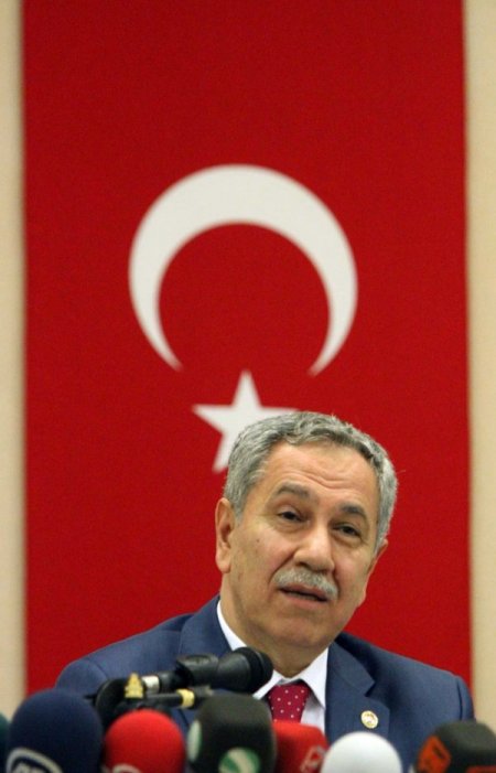Arınç: Anayasa'nın akordu kalmamış, ben yeni anayasa konusunda iyimserim