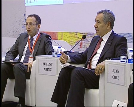 Arınç: BM öncülüğünde İslamofobiye karşı yasal önlem alınmalı