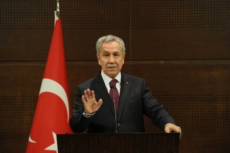 Arınç: Çevre duyarlılığıyla hareket edenlerden özür diliyorum