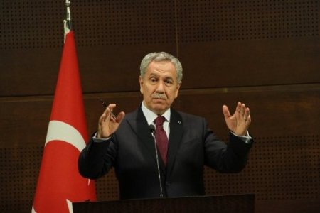 Arınç: Çevre duyarlılığıyla hareket edenlerden özür diliyorum