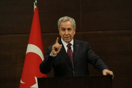 Arınç: Çevre duyarlılığıyla hareket edenlerden özür diliyorum