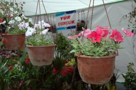 Arınç'tan barış duası: Allah bizi birbirimizden ayırmasın