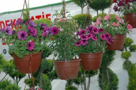 Arınç'tan barış duası: Allah bizi birbirimizden ayırmasın