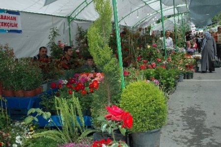 Arınç'tan barış duası: Allah bizi birbirimizden ayırmasın