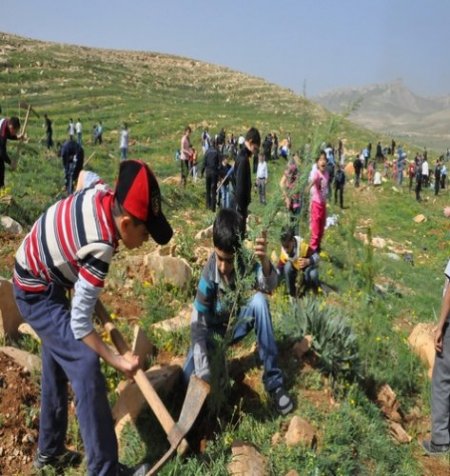Artuklu Üniversitesi kampüsünün ağaçlandırılmasına emniyetten destek