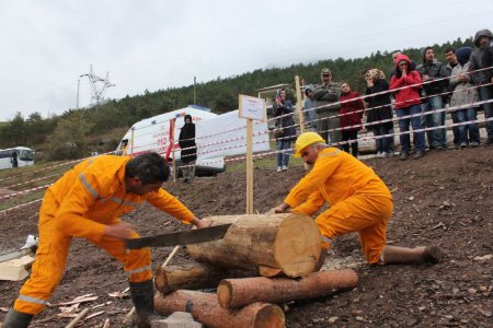 Artvin’de ormancının survivor’ı