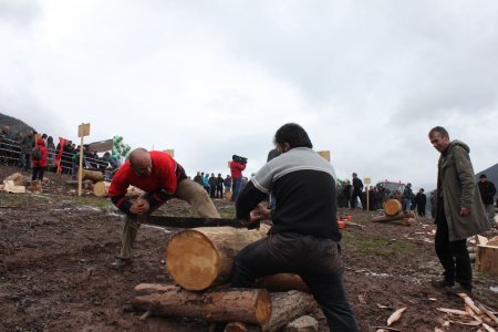 Artvin’de ormancının survivor’ı