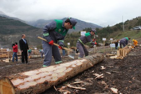 Artvin’de ormancının survivor’ı