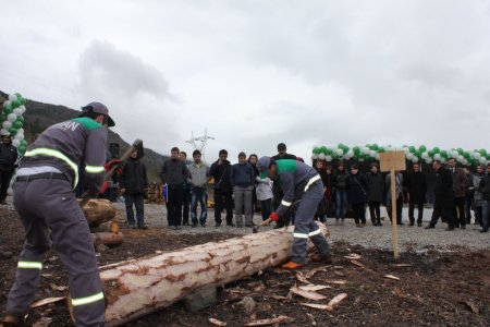 Artvin’de ormancının survivor’ı