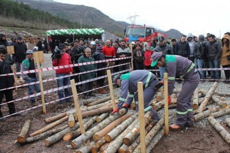 Artvin’de ormancının survivor’ı